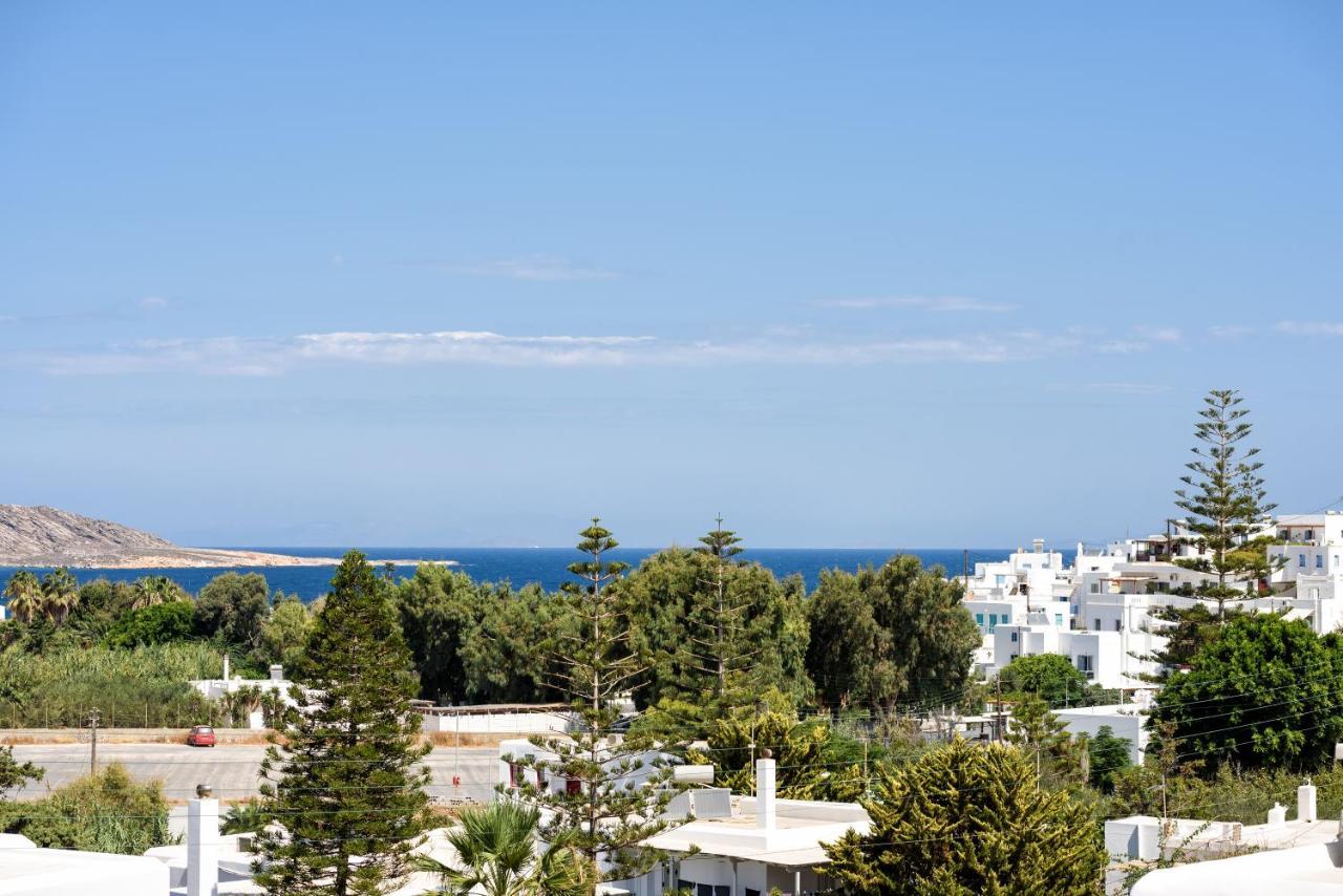 Hara'S Villa In Naousa , Paros Ngoại thất bức ảnh