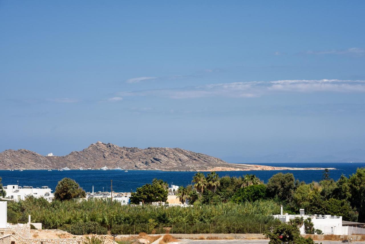 Hara'S Villa In Naousa , Paros Ngoại thất bức ảnh